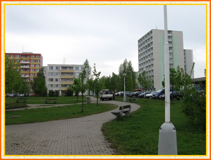 IMG_1616 -1.jpg